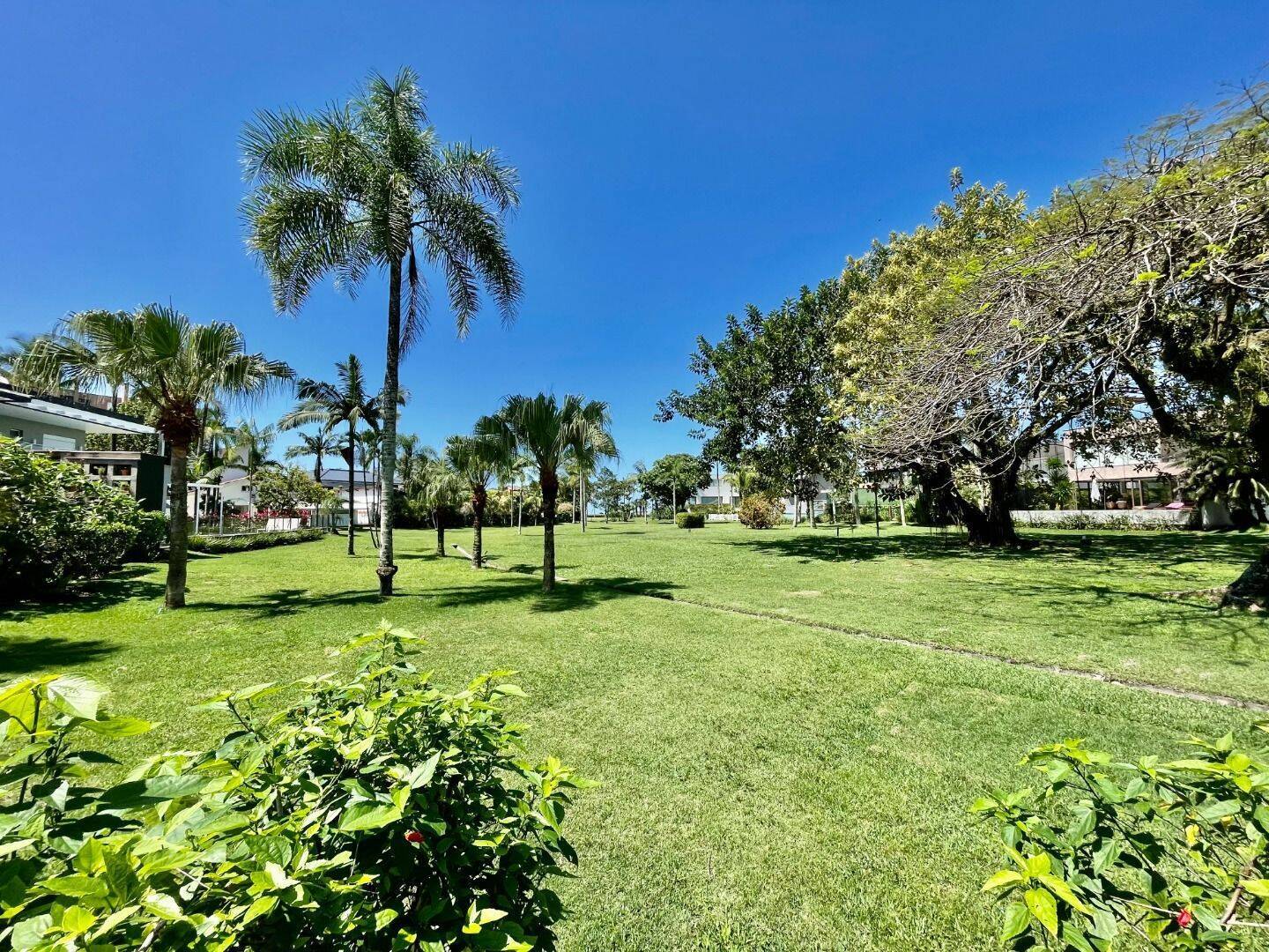 Casa, 5 quartos, 517 m² - Foto 9