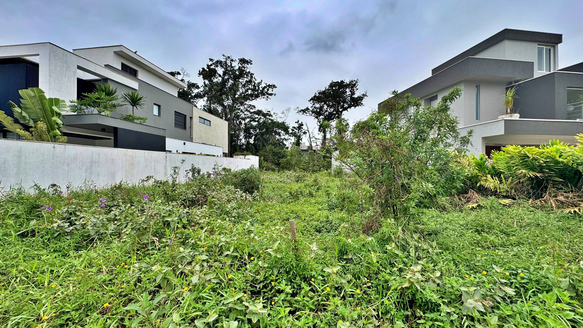 Terreno, 533 m² - Foto 2