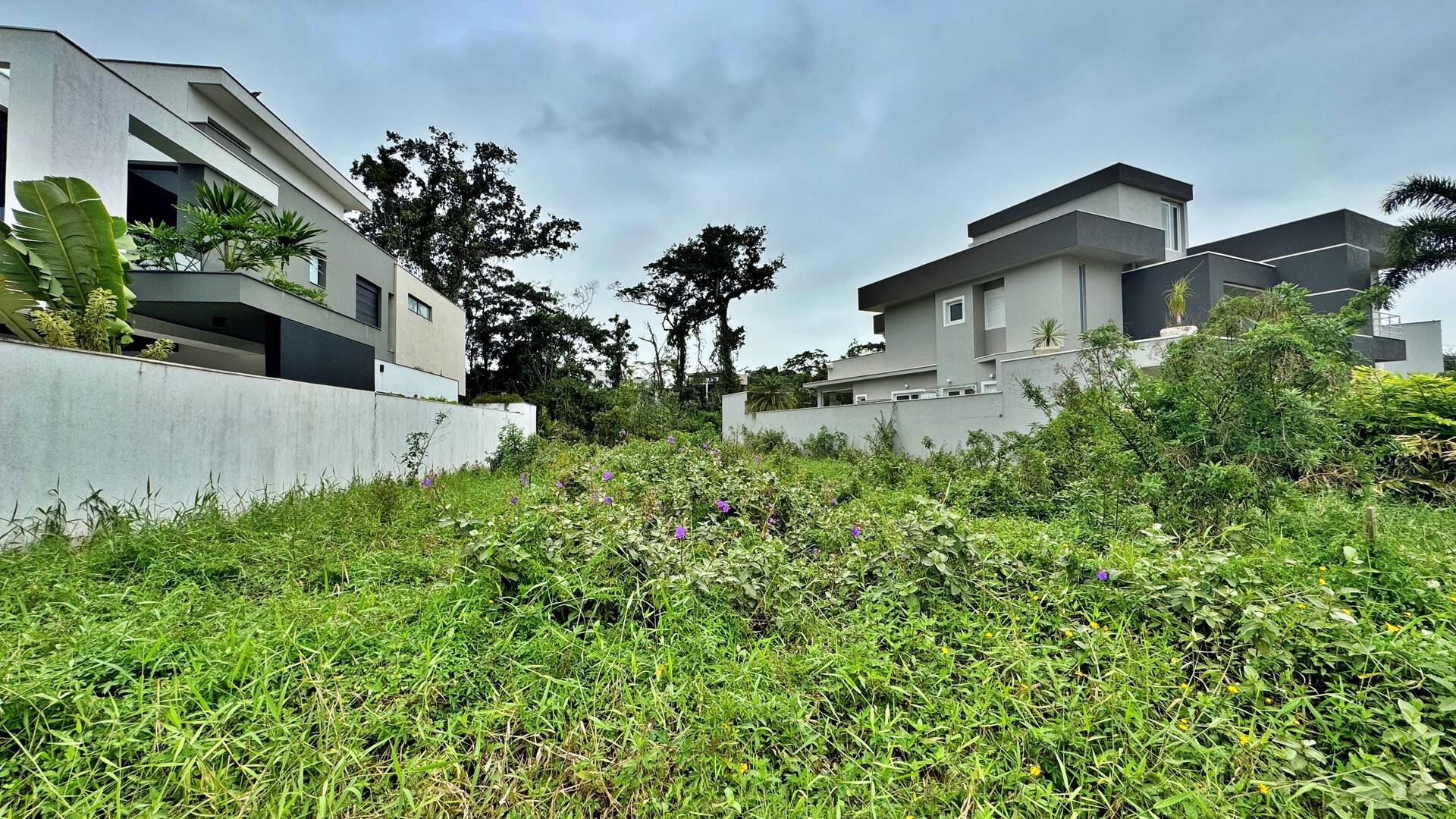 Terreno, 533 m² - Foto 3