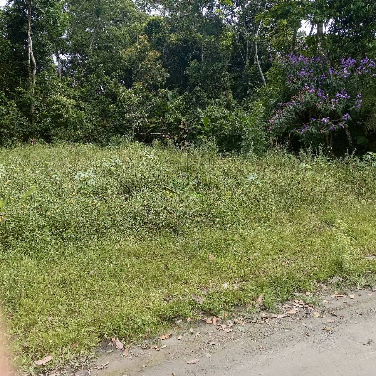 Terreno, 396 m² - Foto 4