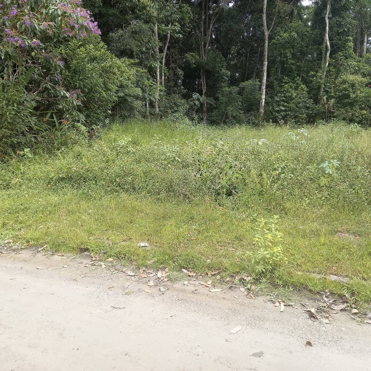 Terreno, 396 m² - Foto 5