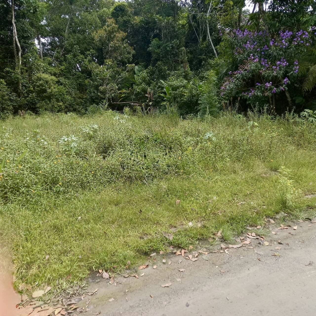 Terreno, 396 m² - Foto 6