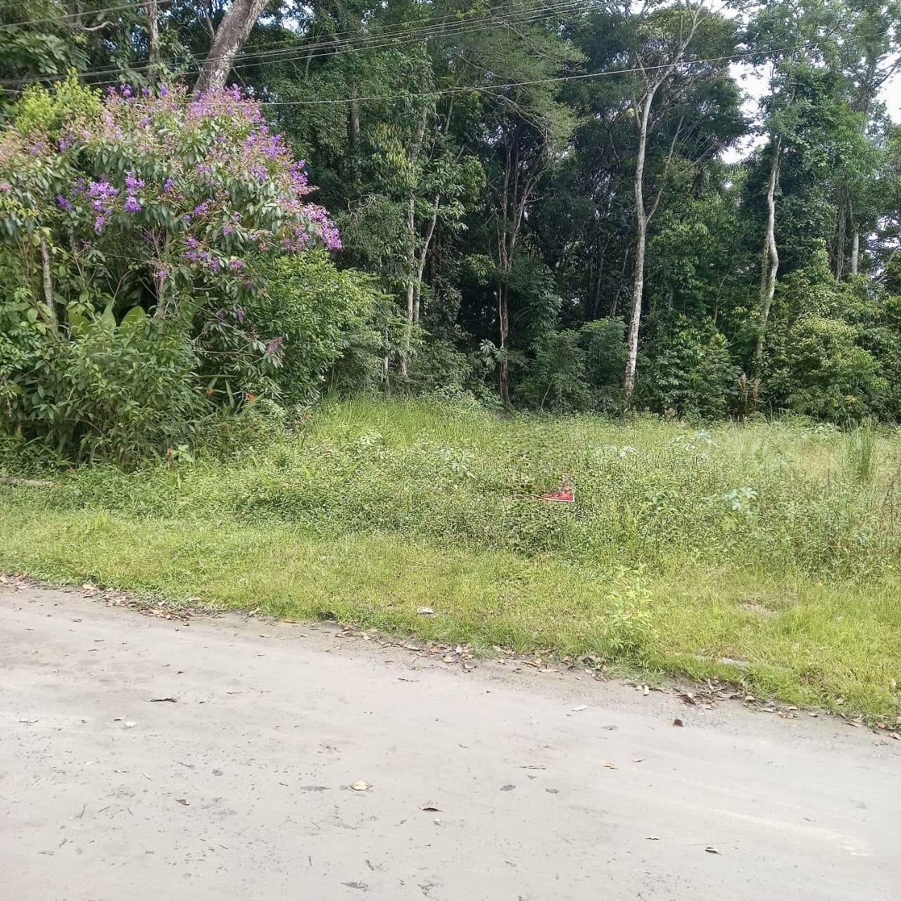 Terreno, 396 m² - Foto 7