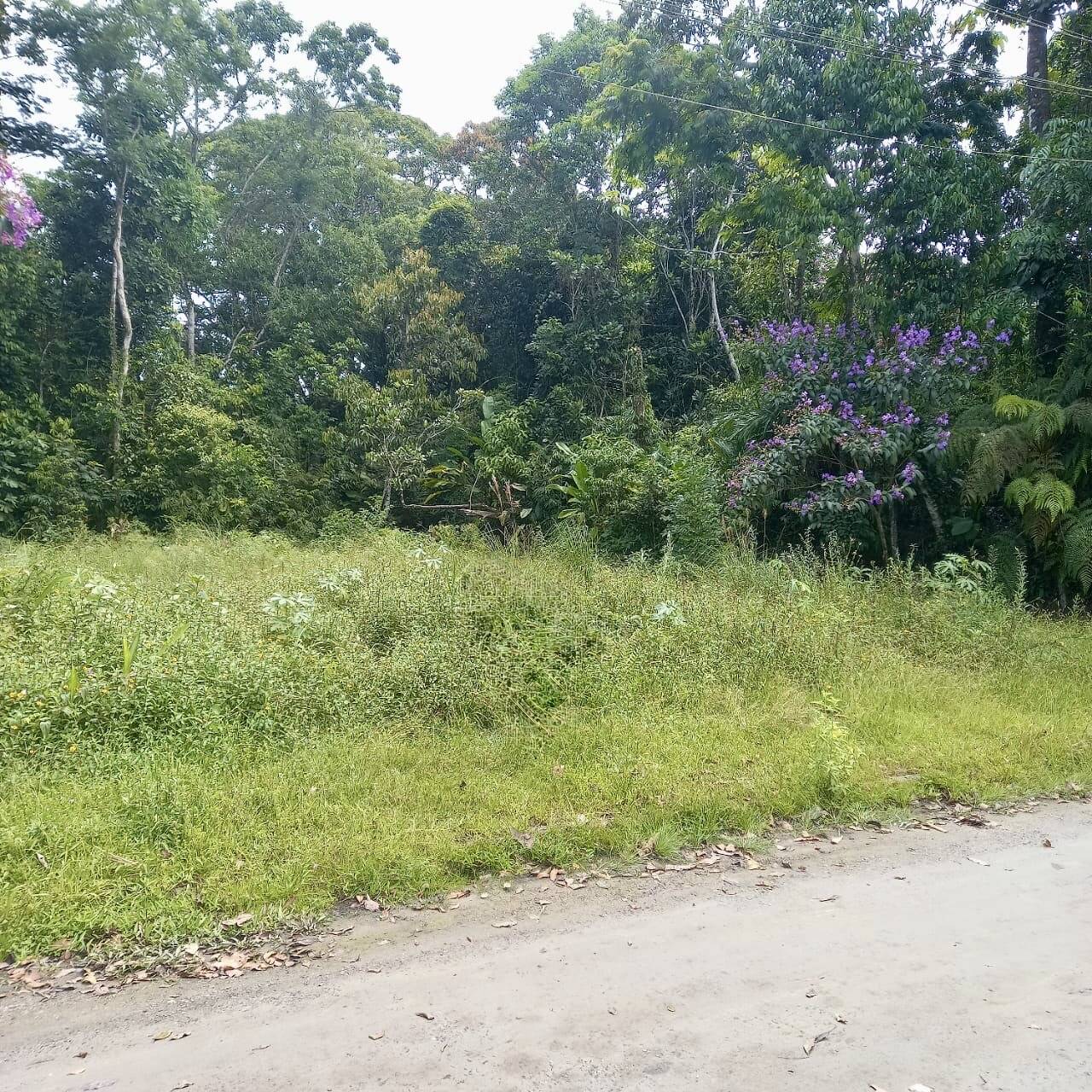 Terreno, 396 m² - Foto 2