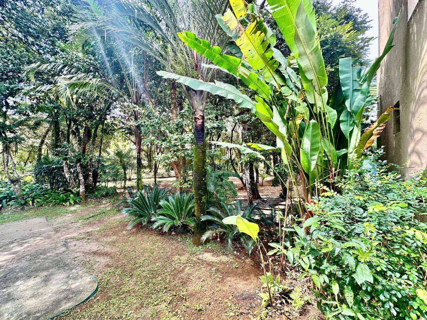 Casa à venda com 6 quartos, 422m² - Foto 3