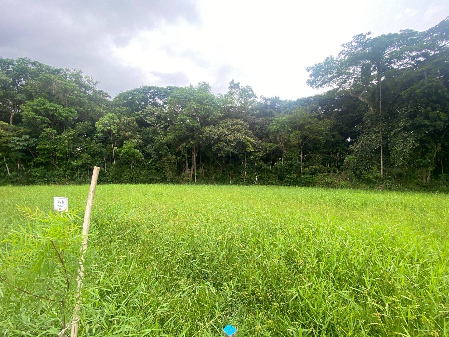 Terreno, 531 m² - Foto 1