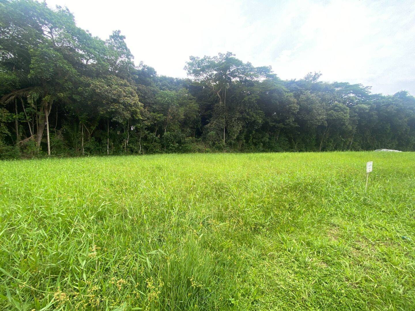 Terreno, 531 m² - Foto 2