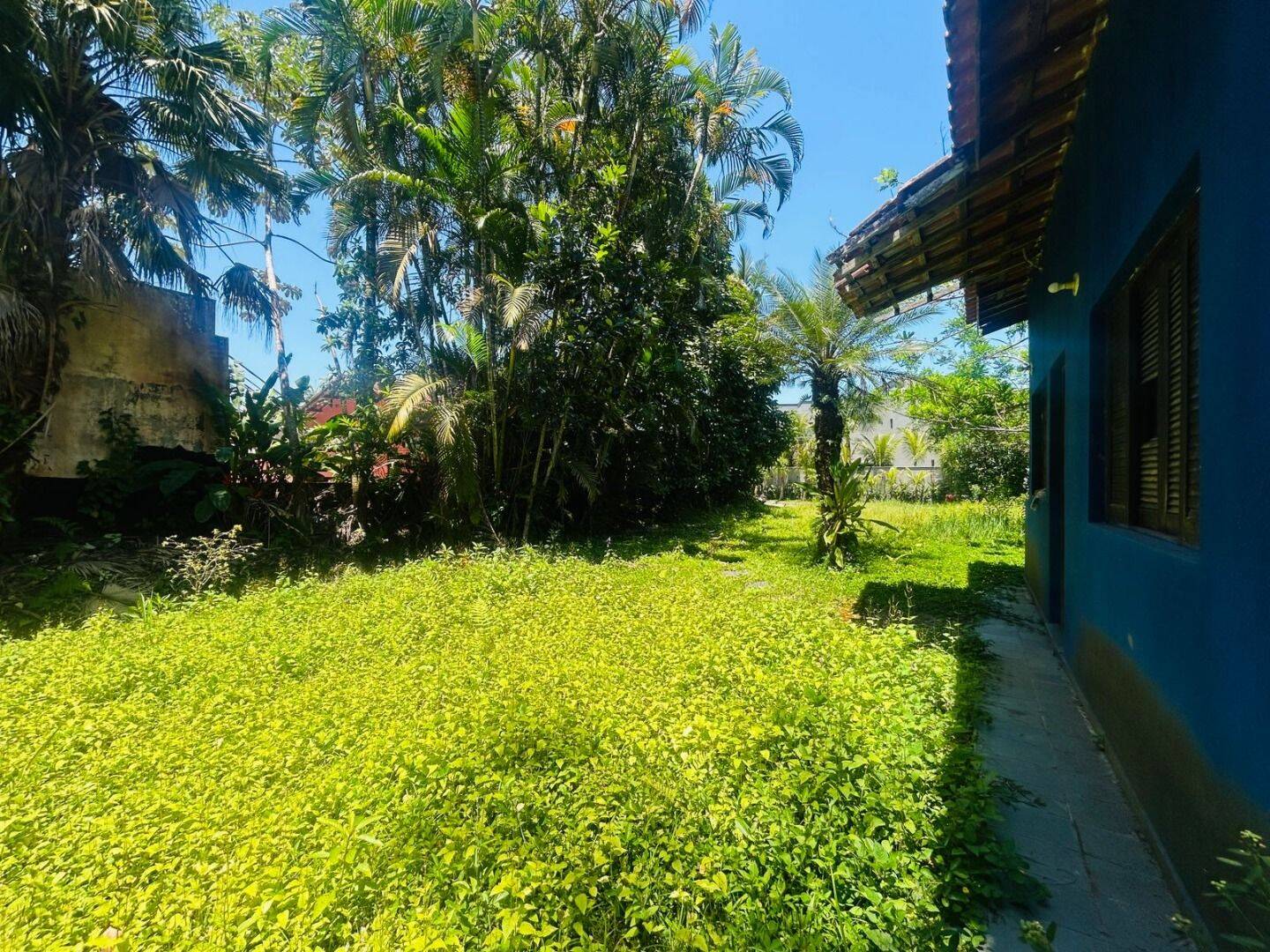 Terreno, 300 m² - Foto 3