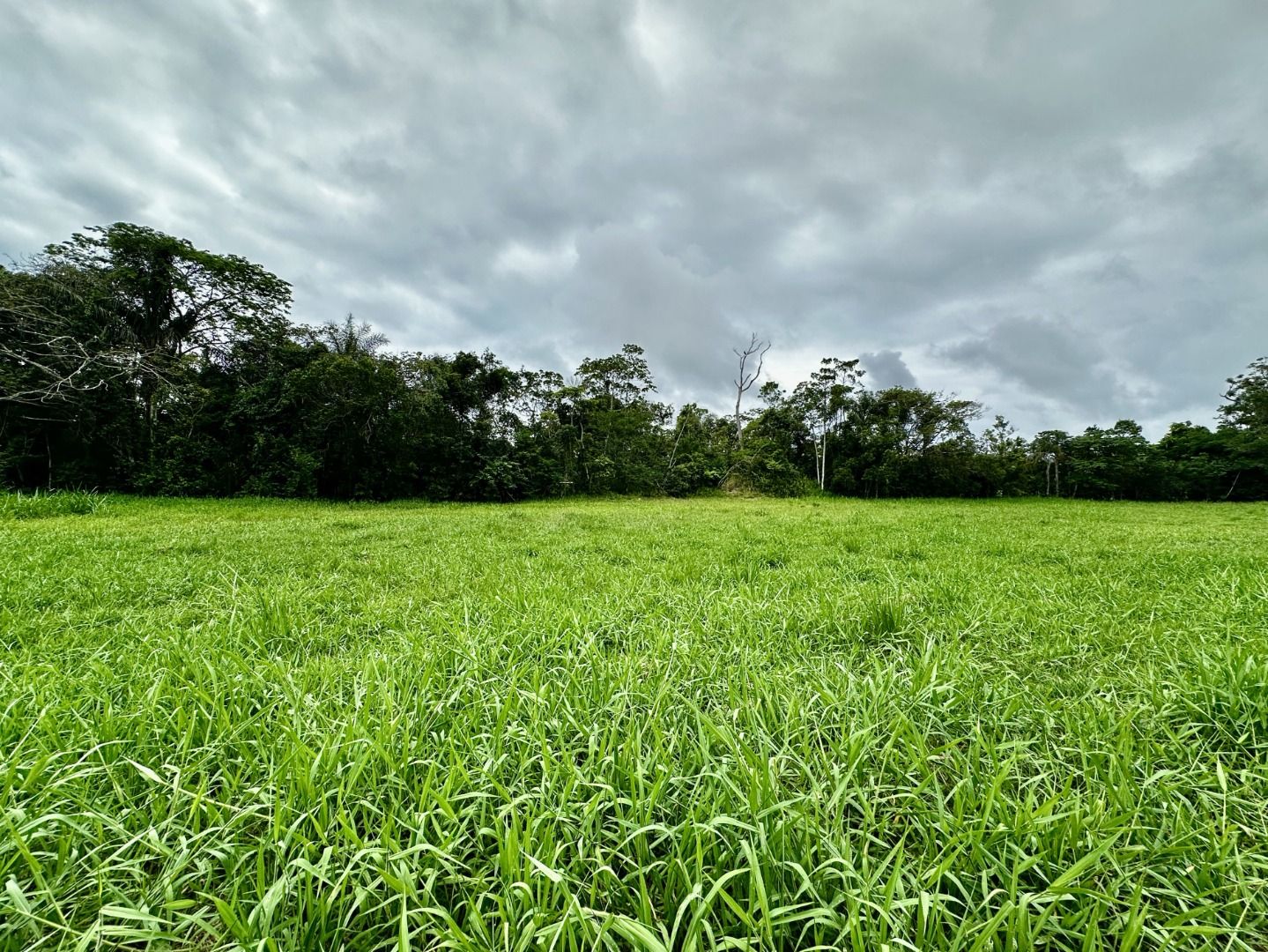 Terreno, 700 m² - Foto 2