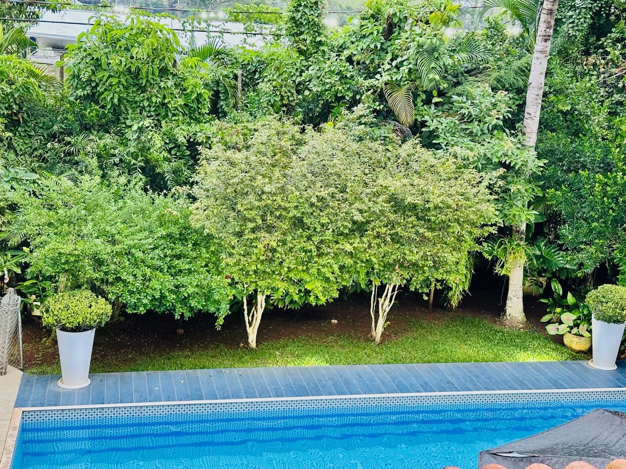 Casa, 4 quartos, 286 m² - Foto 2