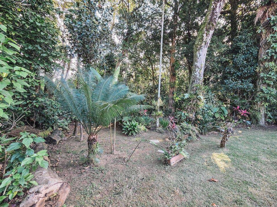 Casa, 4 quartos, 308 m² - Foto 25